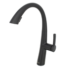 Torneira Misturador Monocomando Gourmet 08 Extensível Preto