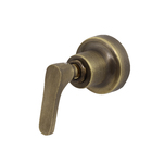 Torneira Misturador para Parede de Banheiro Bica Reta Ouro Velho Tunis Classica Fani