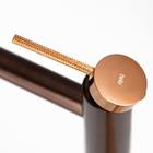 Torneira Monocomando Alta Para Banheiro (andelle Bronze)