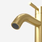 Torneira Monocomando Alta Para Banheiro Inox (una Ouro Fosca)