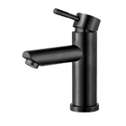 Torneira Monocomando Baixa Para Banheiro Inox (lis Preta)