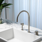 Torneira Monocomando Com Ducha De Cozinha (fiji Escovada)