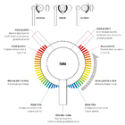 Torneira Monocomando Com Ducha De Cozinha (fiji Escovada)