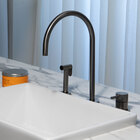 Torneira Monocomando Com Ducha De Cozinha (Fiji grafite Fosca)