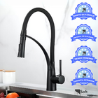 Torneira Monocomando Cozinha Preta Flexível Misturador Black