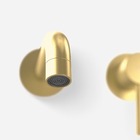 Torneira Monocomando De Parede Para Banheiro Inox (oka Ouro F