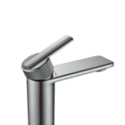 Torneira Monocomando de Pia para Banheiro com Bica Baixa Cromado Escovado Neo Delinia