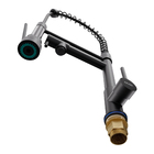 Torneira Monocomando Gourmet com Saída para Água Filtrada de Pia para Cozinha Bica Média Flexível Preto Fosco DUO Civit