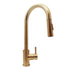 Torneira Monocomando Extensível Nashville Dourado Gold 3581