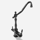 Torneira Monocomando Giratória De Filtro (aran Preta Fosca)