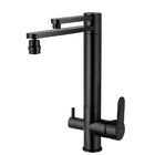 Torneira Monocomando Giratória De Filtro (ibiza Preta)