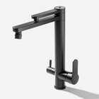 Torneira Monocomando Giratória De Filtro (ibiza Preta)