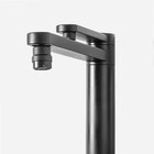 Torneira Monocomando Giratória De Filtro (ibiza Preta)