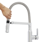 Torneira Monocomando Gourmet para Pia de Cozinha Bica Alta Prata Fani