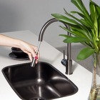 Torneira Monocomando Gourmet De Cozinha (barbados Grafite Fos