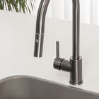 Torneira Monocomando Gourmet De Cozinha (barbados Grafite Fos