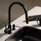 Torneira Monocomando Gourmet De Cozinha (barbados Preta Fosca)