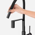 Torneira Monocomando Gourmet De Cozinha (venice Preta)