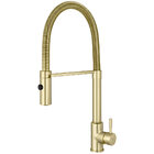 Torneira Monocomando Gourmet De Cozinha Inox (capri Dourada F