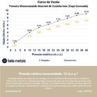 Torneira Monocomando Gourmet De Cozinha Inox (capri Escovada)