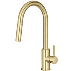 Torneira Monocomando Gourmet De Cozinha Inox (maldivas Ouro F