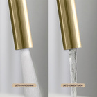 Torneira Monocomando Gourmet De Cozinha Inox (maldivas Ouro F