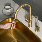 Torneira Monocomando Gourmet De Cozinha Inox (maldivas Ouro F