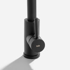 Torneira Monocomando Gourmet De Cozinha Inox (maldivas Preta