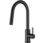 Torneira Monocomando Gourmet De Cozinha Inox (maldivas Preta