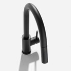 Torneira Monocomando Gourmet De Cozinha Inox (maldivas Preta