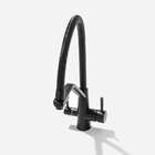 Torneira Monocomando Gourmet De Filtro (nassau Preta Fosca)