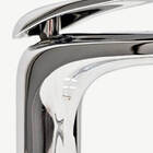 Torneira Monocomando Para Banheiro Curves Bica Média Cromada