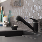 Torneira Monocomando para Pia de Cozinha Preta Joel Delinia