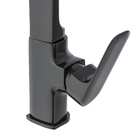 Torneira Monocomando para Pia de Cozinha Preta Remix Delinia