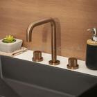 Torneira Para Banheiro Misturador Duplo Comando Grajaú Pingoo