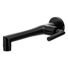 Torneira Para Banheiro Parede Jade Clássica Preto Fosco Fani