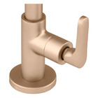 Torneira Para Banheiro Túnis Clássica Champanhe Fani