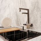 Torneira para Pia com Purificador Bica Alta Prata Filtros C380 Fani