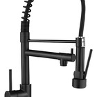 Torneira Pia Cozinha Bancada Gourmet 2 Jatos Preto Mate