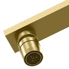 Torneira para Pia de Cozinha Bica Alta Gold Prima Fani