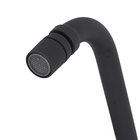 Torneira de Pia Alta Preto Clean Esteves