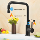 Torneira Preta Mate Misturador Monocomando Aço Inox Gourmet