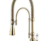 Torneira Vintage Gourmet Alta Flexível com ducha manual Doura