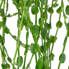 Tostao Esmeralda C21 Pendente