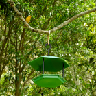 Tratador Para Pássaros Comedouro Passarinho Plástico Reciclado
