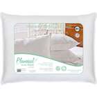 Travesseiro 100% Pena De Ganso-50x70