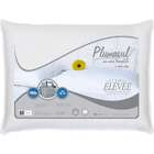 Travesseiro 50% Pluma 50% Pena De Ganso-50x70-tecido 100% Alg