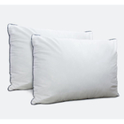 Travesseiro 50x70neo Classico Branco 233fios Camesa Ecopluma