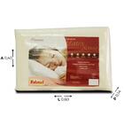 Travesseiro 60cm X 40cm Latex Sense Gi