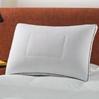 Travesseiro Altenburg Black 46cm X 66cm